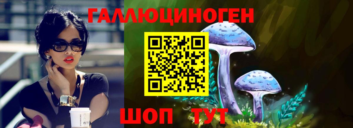 Псилоцибиновые грибы Psilocybine cubensis Каменка