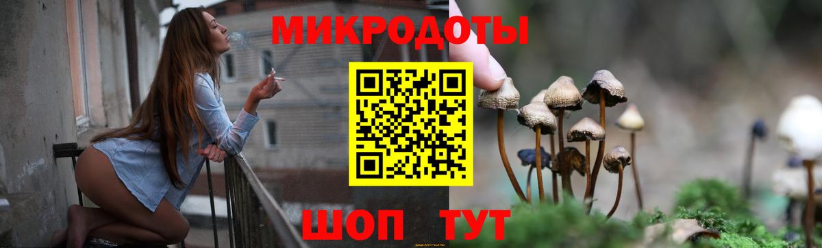 Псилоцибиновые грибы Psilocybine cubensis  Вход с VPN  наркотики  Галлюциногенные грибы ЛСД  Каменка 
