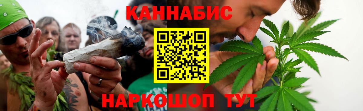 МАРИХУАНА сатива Каменка